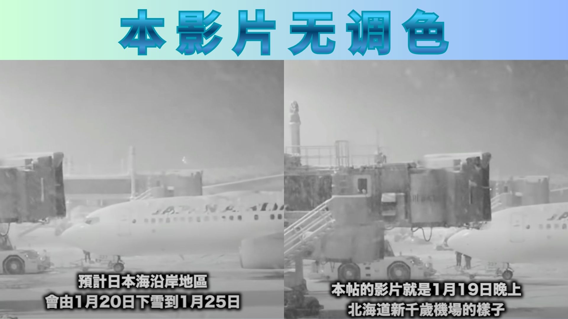 实拍记录：并非调色效果！强降雪下的新千岁机场陷入“白色世界”