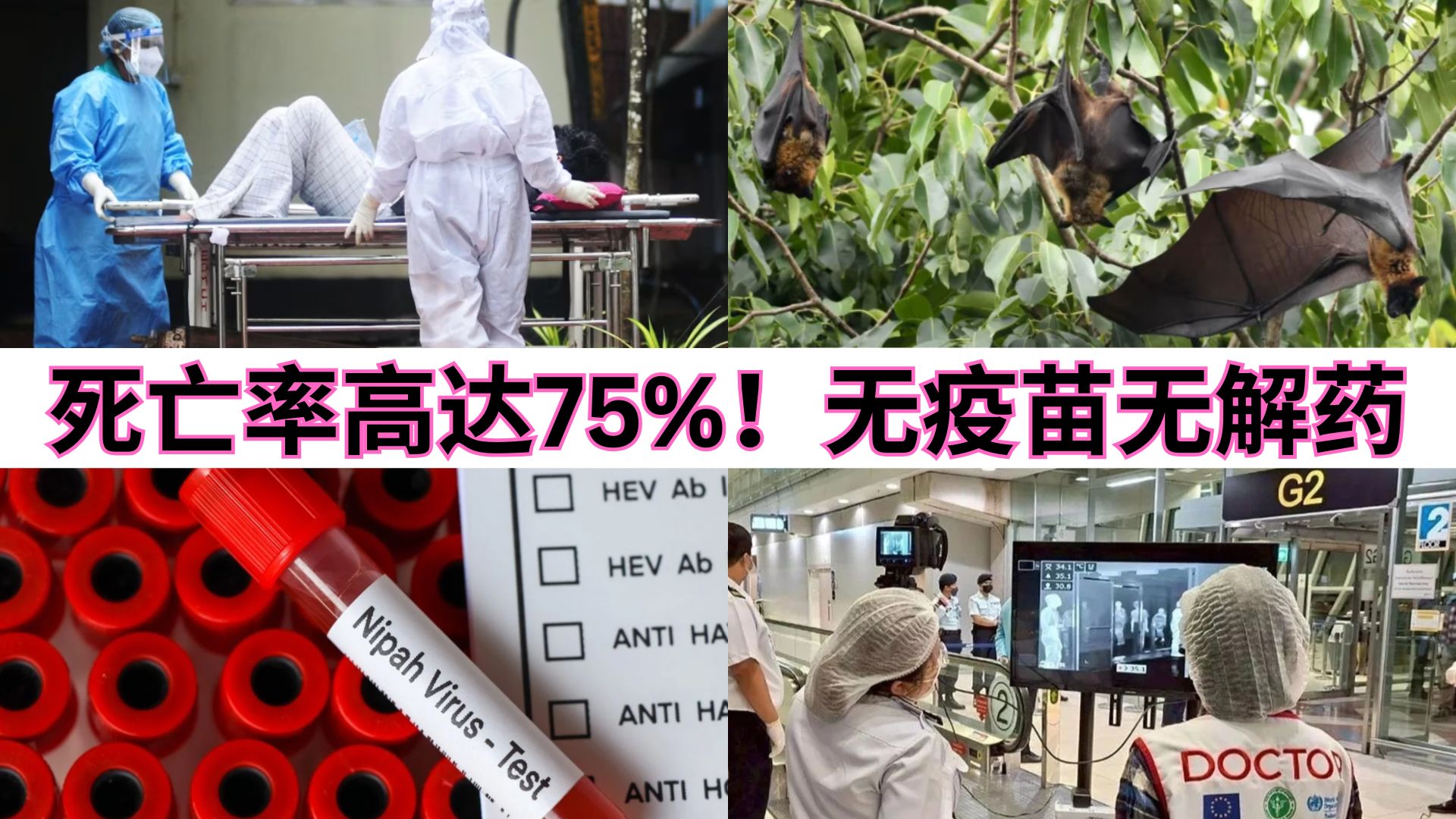 无症状却致命：“隐形杀手”立百病毒再度现身