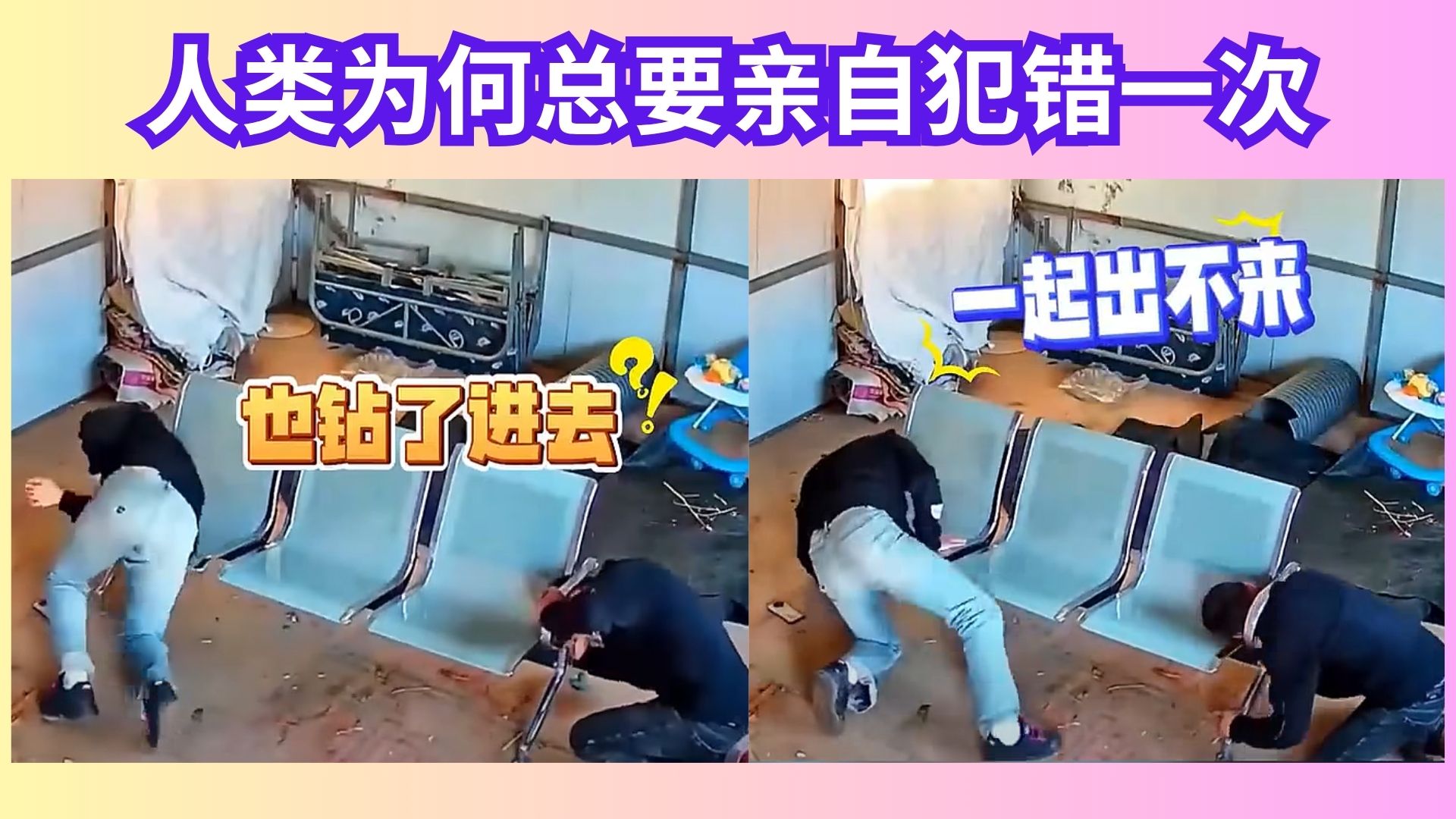 父子双双“卡头现场”爆笑翻车：老爸救人变陪卡，一场关于愚蠢的完美遗传实验