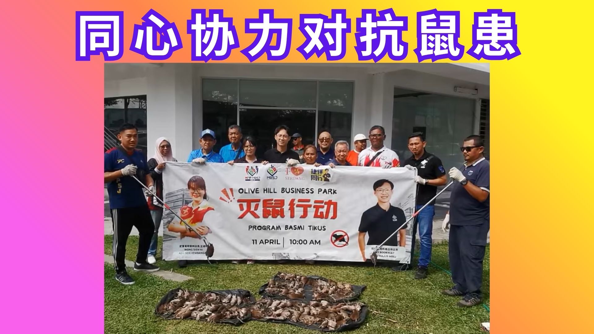 Olive Hill商家居民同心协力联手灭鼠行动值得点赞